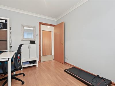 Picture 25
